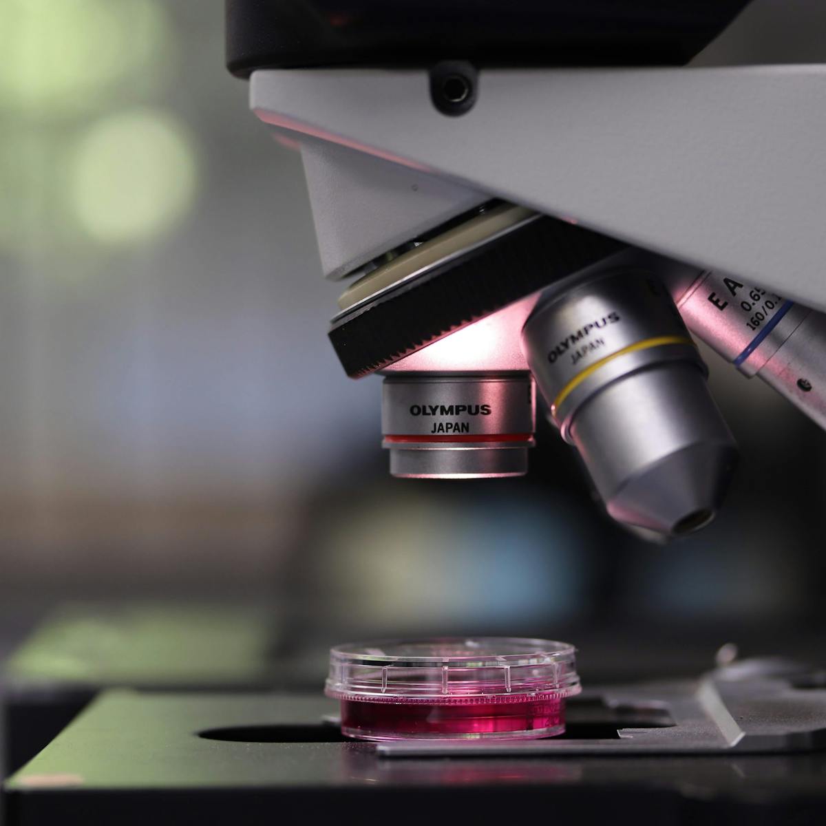 VIRUCIDAL ACTIVITY OF NEW COMPOUNDS AGAINST MURINE CORONAVIRUS