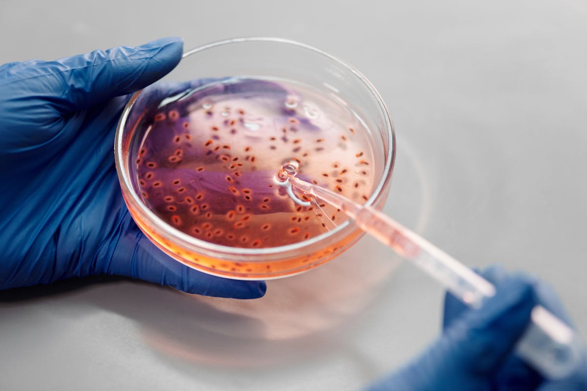 NOVEL AMAZONIAN EXTRACTS AS ANTIVIRAL CANDIDATES AGAINST SARS-CoV-2 INFECTION IN VITRO